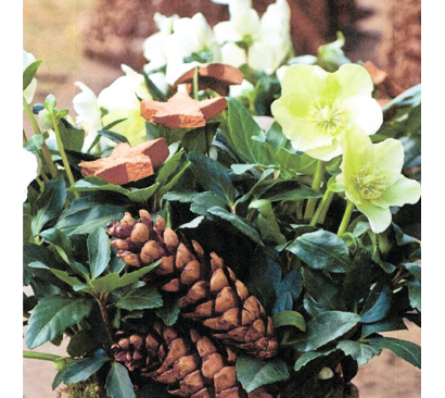 Winterpause ab Mitte Dezember 2025 bis zum 02.03.2026